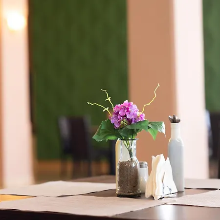 Hotel Ambasador Mamaja
